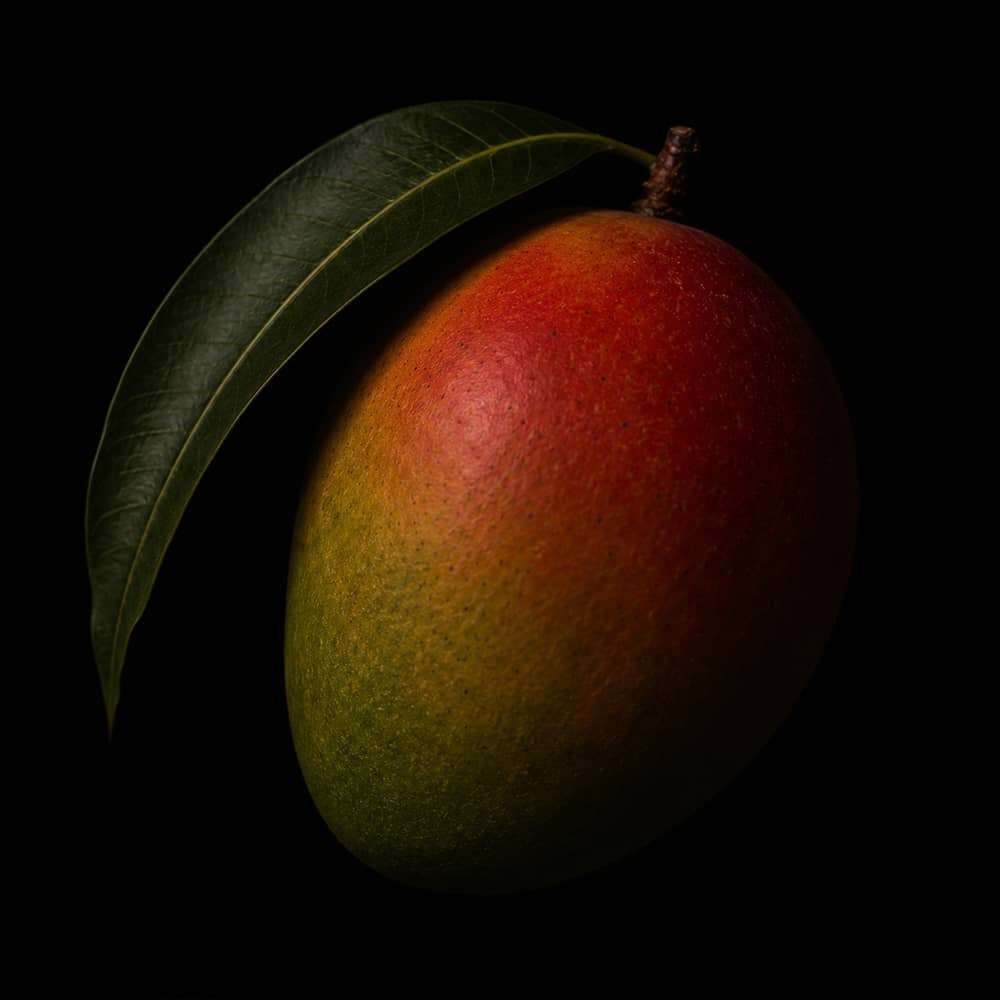 Mango Bliss