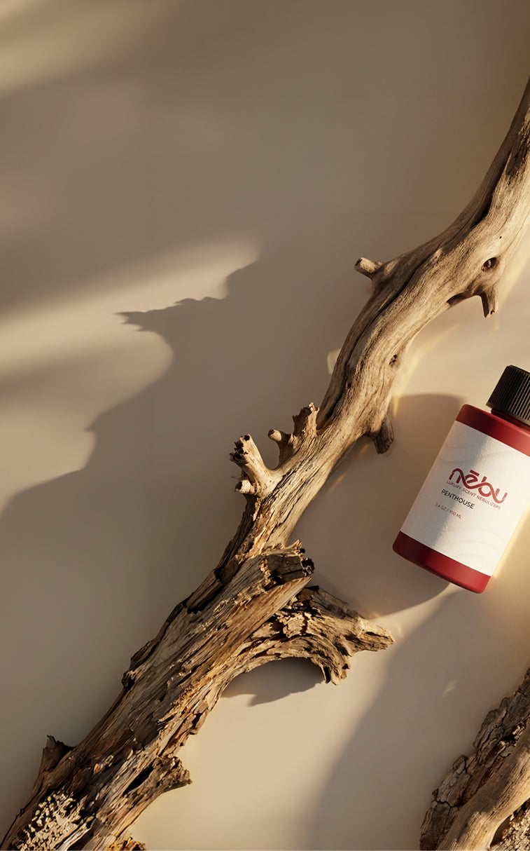 FRAGRANCE OF THE MONTH