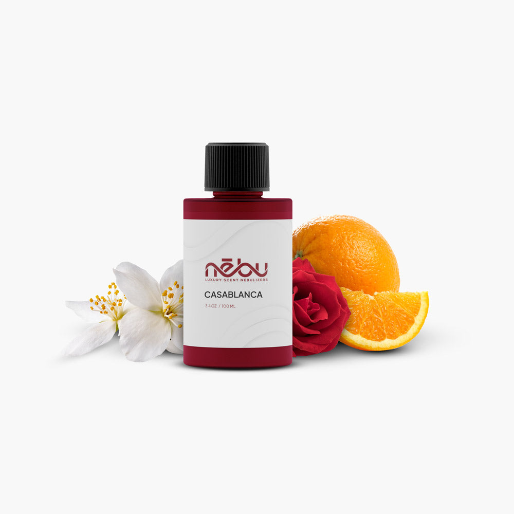 Casablanca Allure