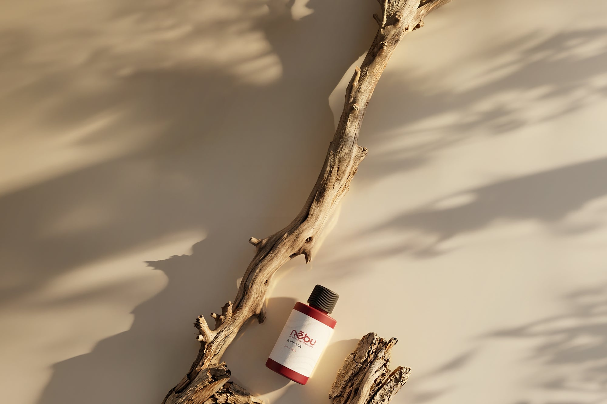 FRAGRANCE OF THE MONTH