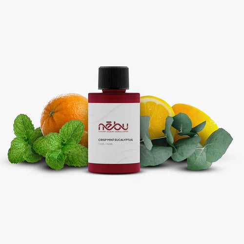 Crisp Mint & Eucalyptus Fragrance Oil