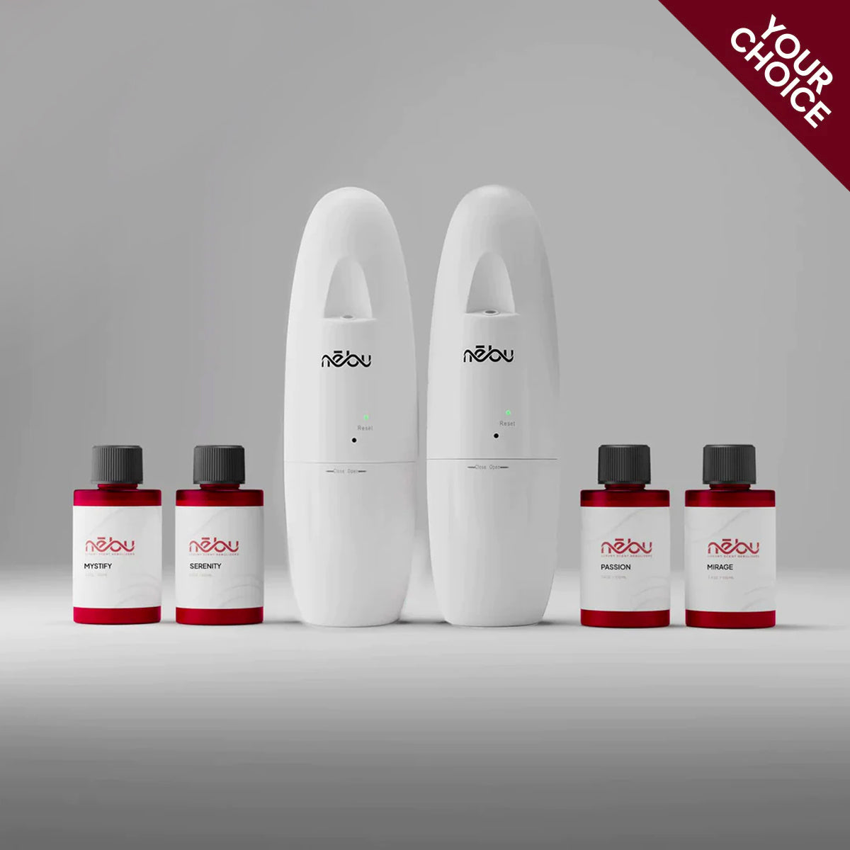 NL100 your-choice bundle: 2 diffusers and 4 fragrance oils